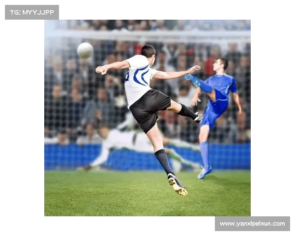 全方位深入解析加的夫城球队所属联赛信息获取途径全面实用指南